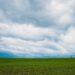 green grass field under cumulonimbus clouds